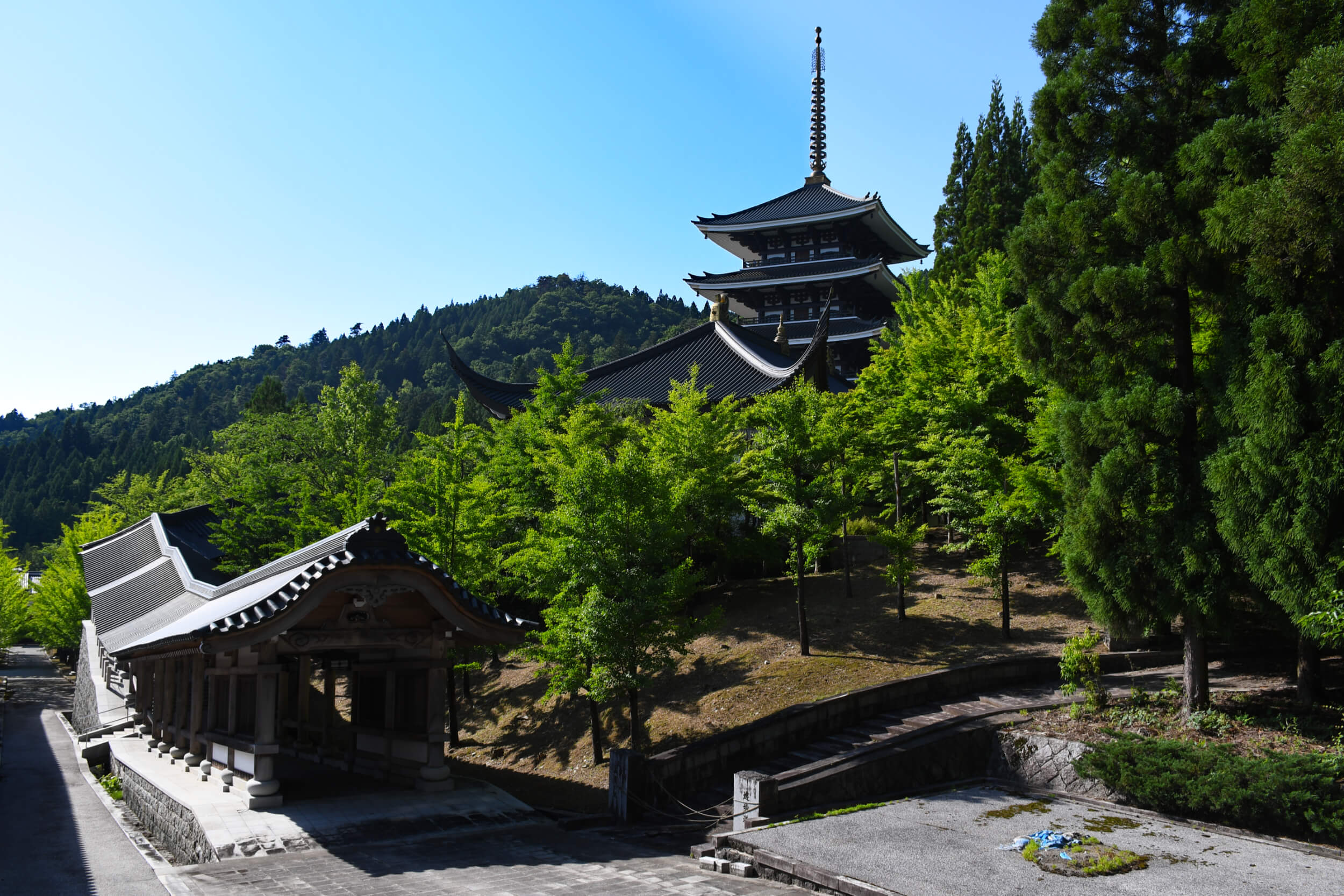 Side Trip To Katsuyama: Japan's Tallest Buddha, Pagoda, And Castle ...