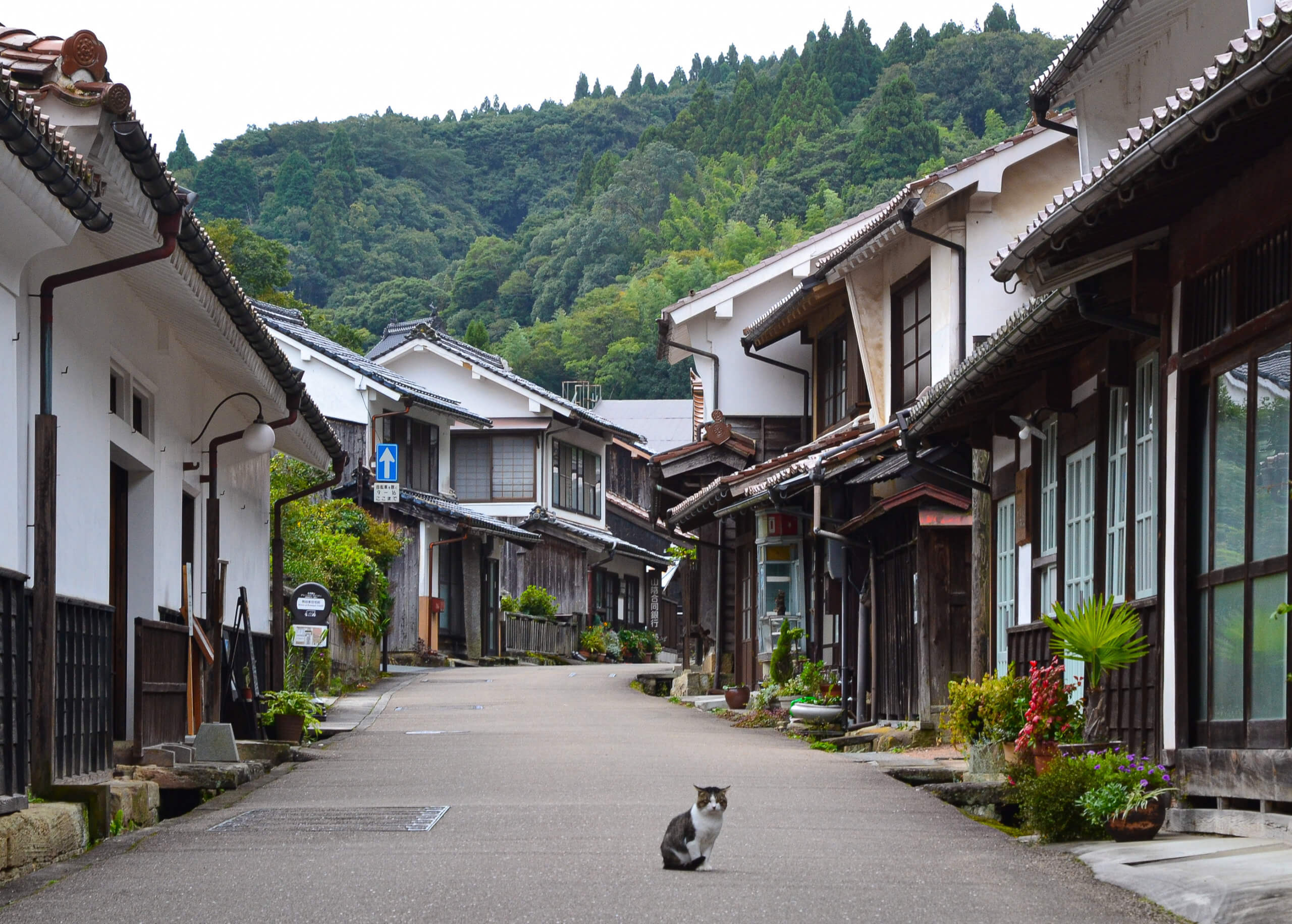 Anime Towns In Japan