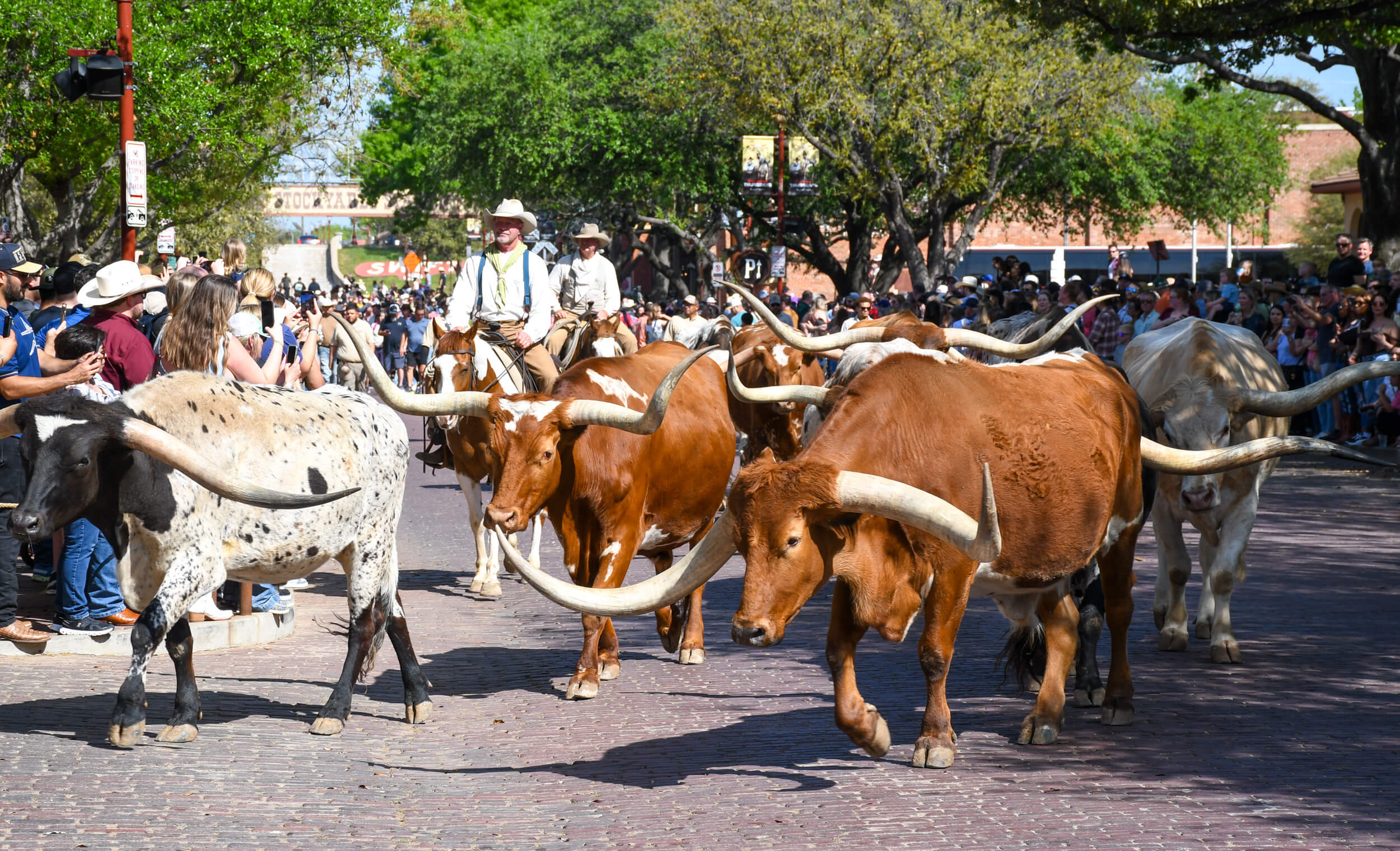 Best Things to do in Fort Worth, Texas in 2026